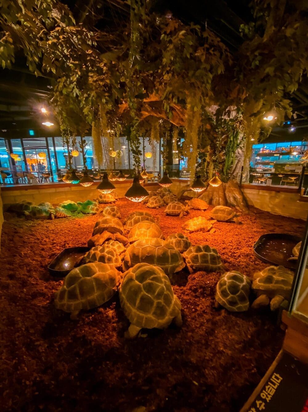 76 Delightful Things to do on a Rainy Day in Seoul (+ Heat and Pollution too!) 39 indoor attractions in seoul | cafe geobugi