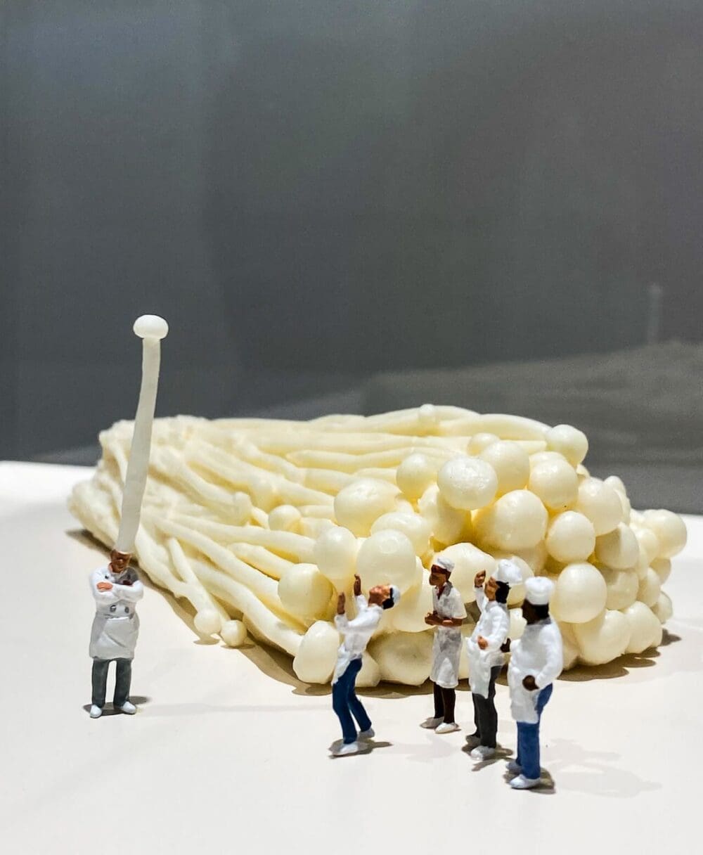 tatsuya tanaka | mitate mind at mpx gallery