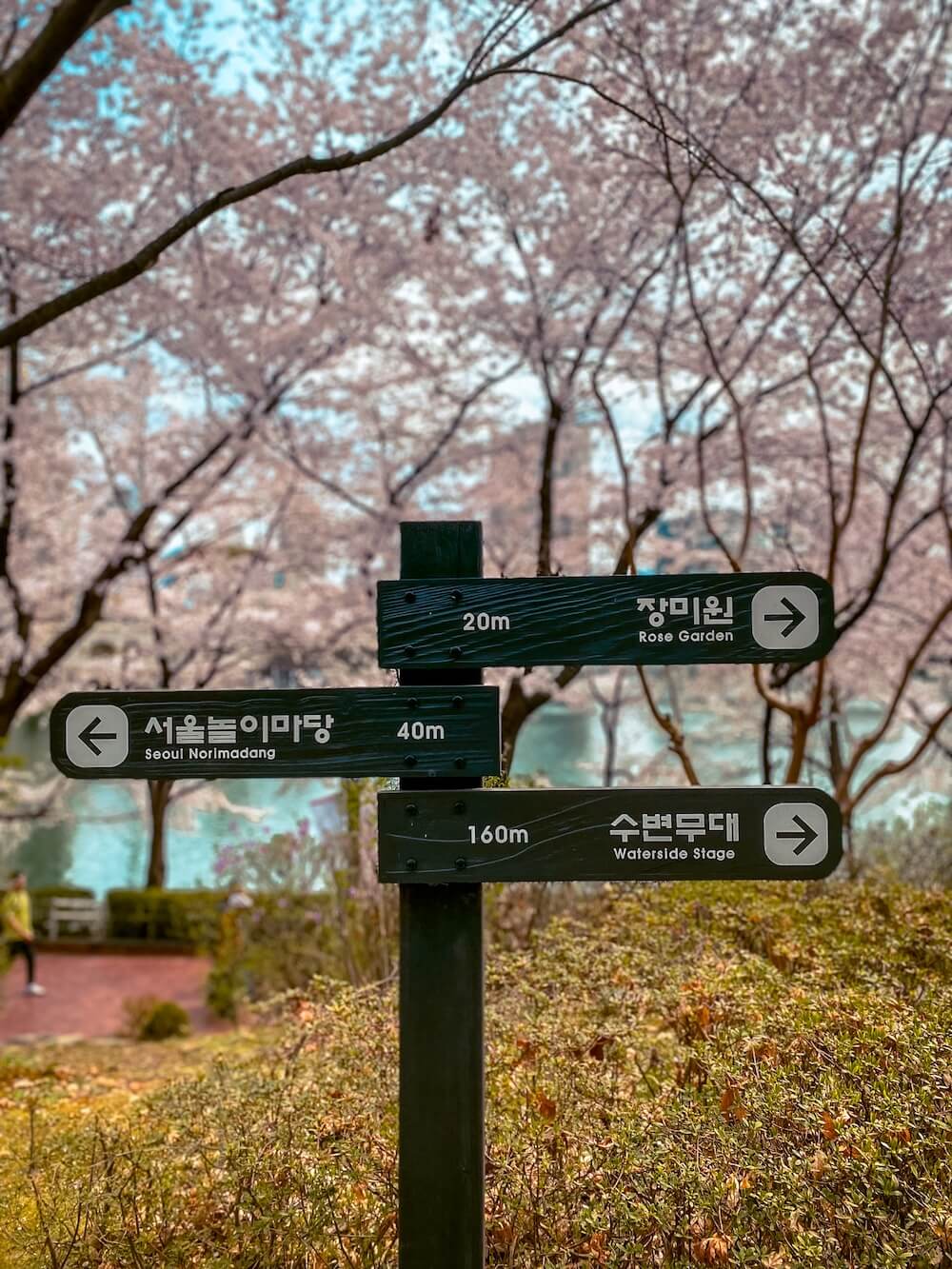 11 Fantastic Things to Do at Seokchon Lake Park in Jamsil 2 seokchon lake park