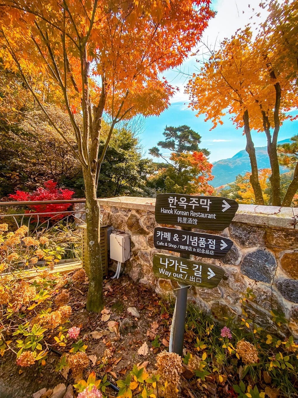 Wooden directional signpost pointing towards a Hanok Korean restaurant under bright orange autumn maple trees at Hwadam Botanic Garden