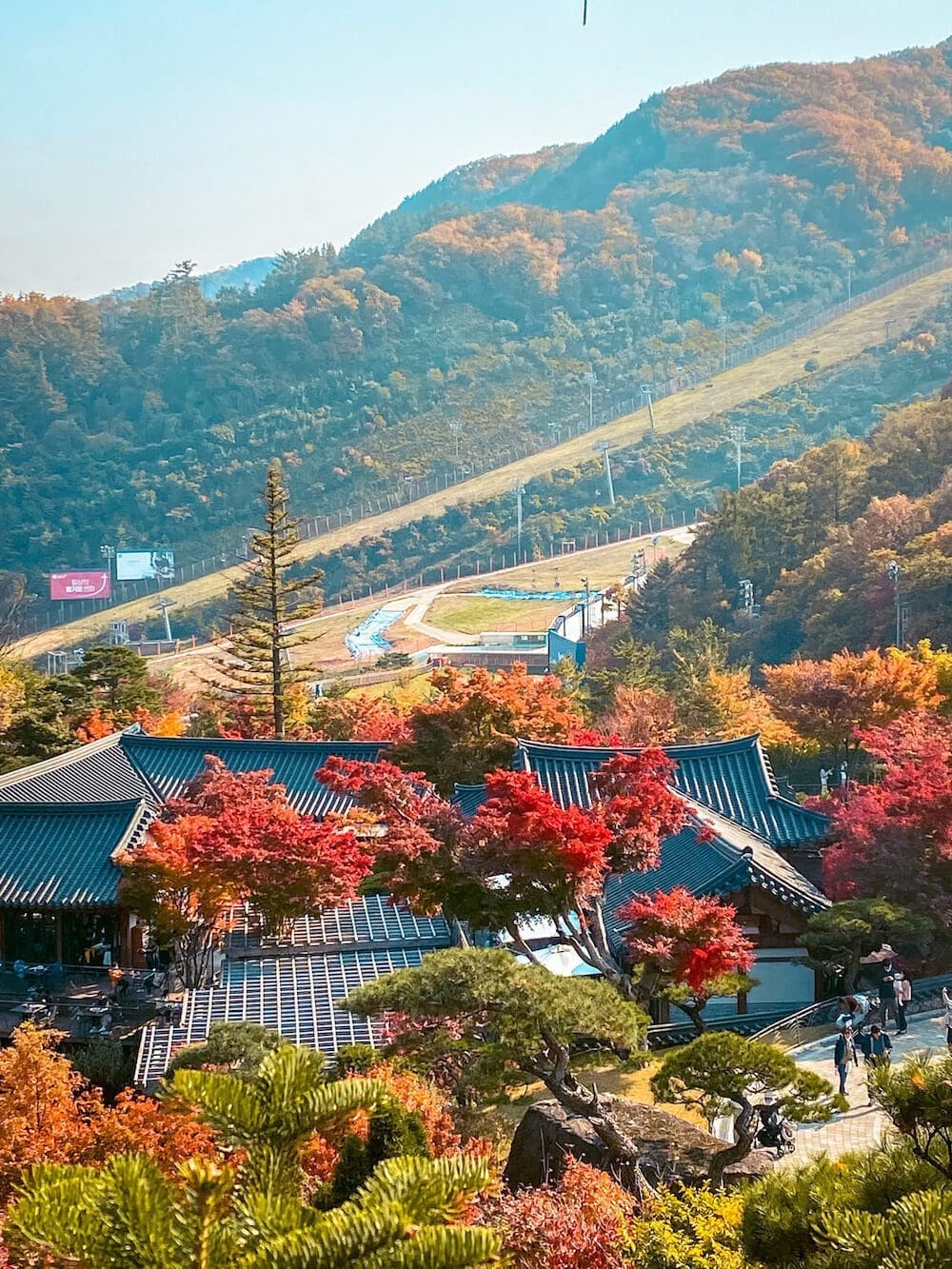 High-angle view of traditional Korean Hanok buildings with tiled roofs nestled against green ski slopes and autumn trees at Hwadam Botanic Garden