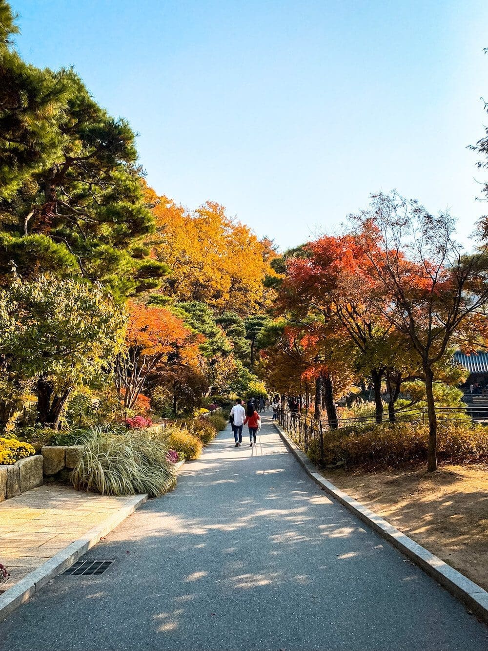 Couple walking down a wide paved boardwalk path bordered by green pines and colorful autumn trees at Hwadamsup