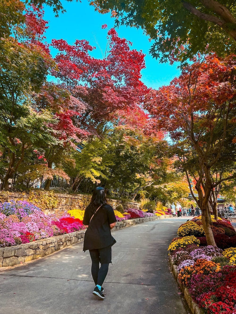 Woman walking down a path lined with colourful autumn flowers at Hwadamsup