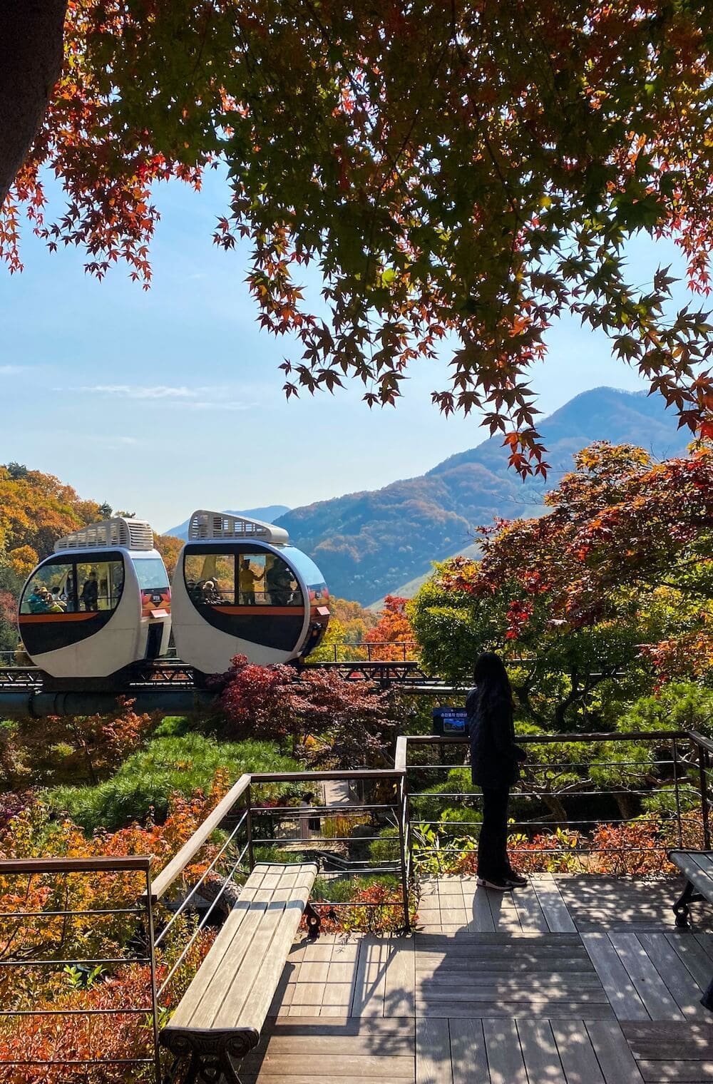 Two connected white oval monorail cars gliding past a wooden observation deck where a visitor stands looking out over autumn mountains at Hwadamsup
