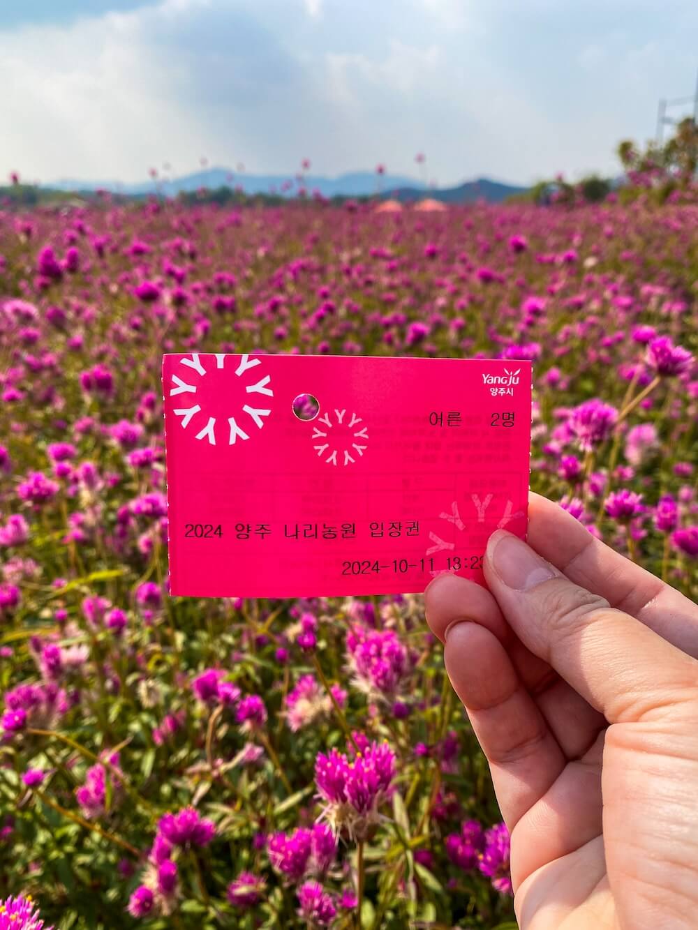 An admission ticket stub from Yangju Nari Park in Korea.