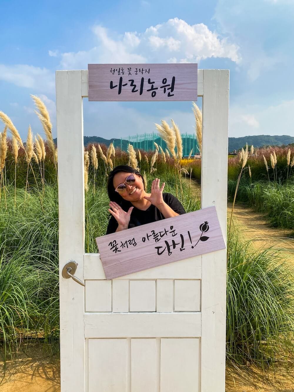 Smiling woman posing behind a white wooden door photo frame prop in the flower fields at Yangju Nari Park in autumn.