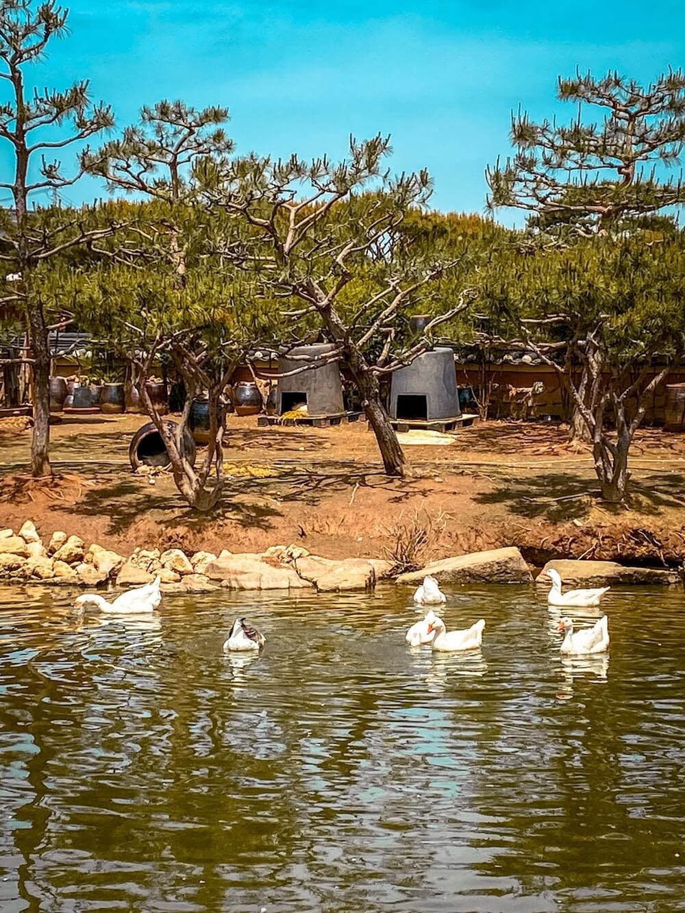 Goseurak Hangari Park | A Breathtaking Garden with 5,000 Traditional Korean Pots in Iksan 15 goseurak hangari park
