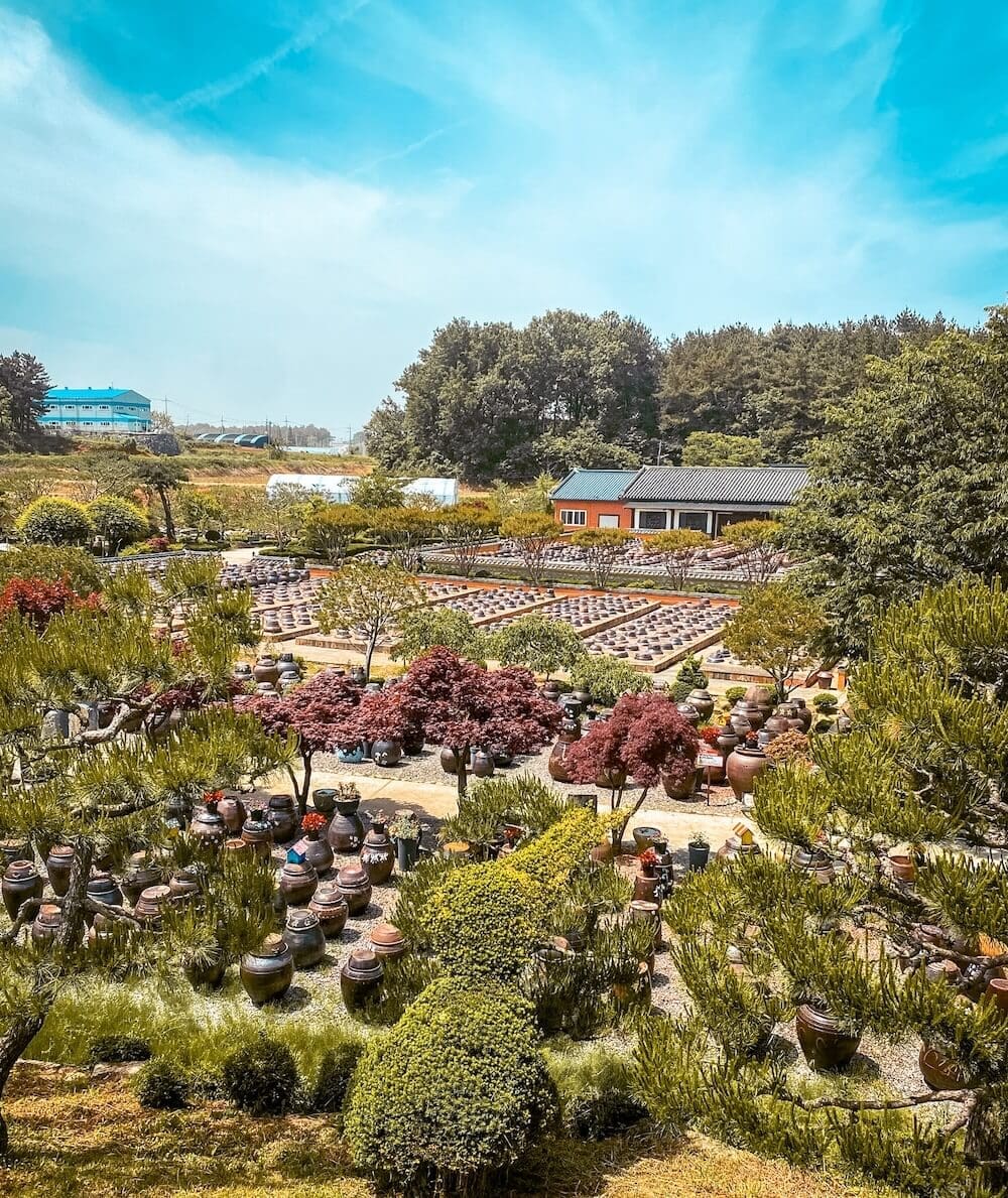 Goseurak Hangari Park | A Breathtaking Garden with 5,000 Traditional Korean Pots in Iksan 16 kosrak hargari park in iksan