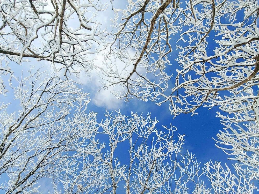 15 Years in Seoul Taught Me How to Survive Winter in Korea — and 35 Ways to Love It Too 65 winter in korea | pyeongchang korea