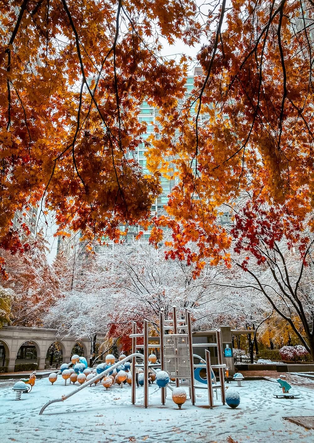 2026 Seoul Lantern Festival | A Radiant Celebration of Light at Cheonggyecheon Stream 16 autumn / winter in seoul