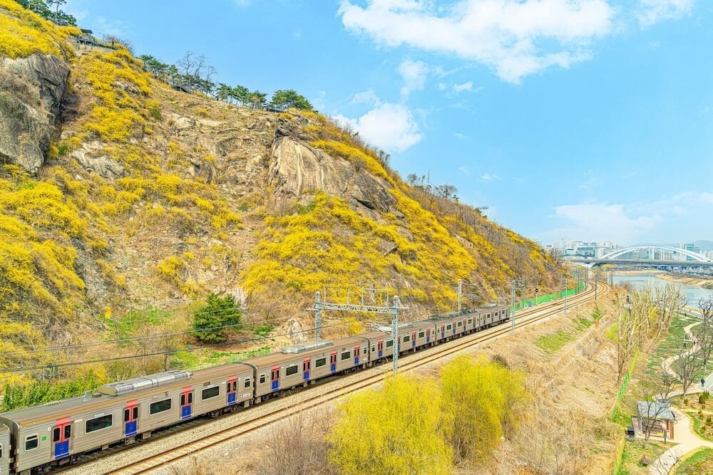 Eungbongsan Mountain | Vibrant Forsythia, Palgakjeong Pavilion, and Gorgeous Views over Seoul 1 eungbongsan mountain forsythia in spring