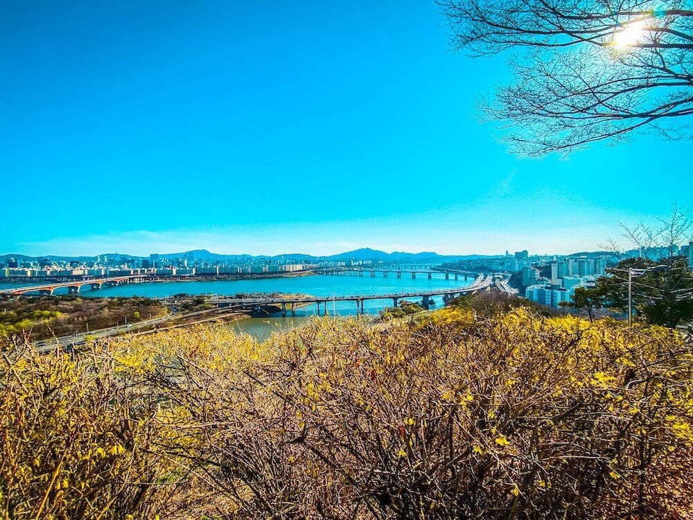 Eungbongsan Mountain | Vibrant Forsythia, Palgakjeong Pavilion, and Gorgeous Views over Seoul 3 views from palgakjeong at eungbongsan