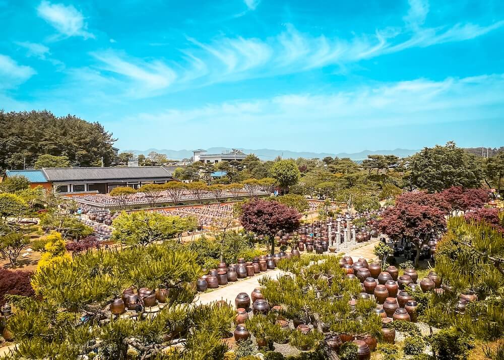 Korea in October 2026: My Favourite Fall Festivals, Weather Tips & Packing Blueprint (from a 15-Year Expat) 41 korea in october | goseurak hangari garden in iksan