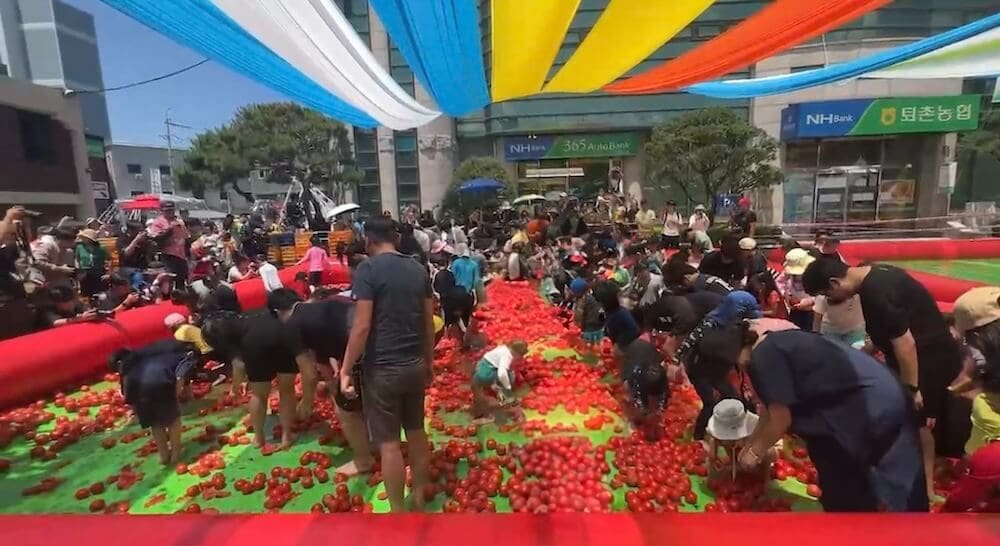 Korea in August 2026 | Weather + Best Festivals (15 Year Local's Guide) 28 tomato festival in korea