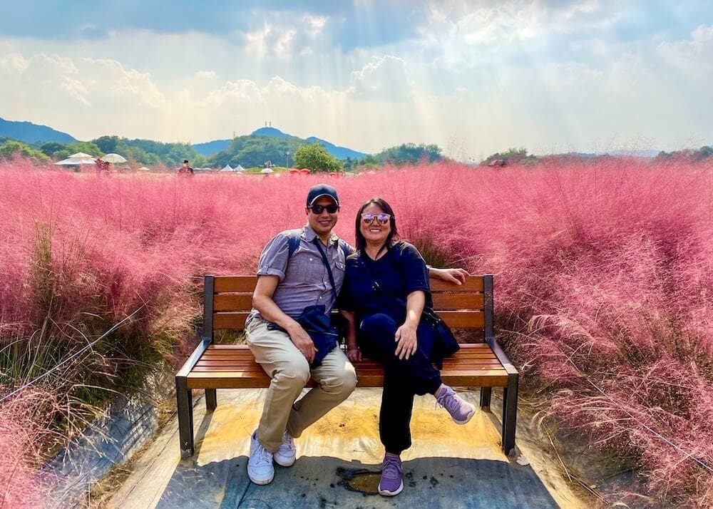 Autumn in Korea Forecast 2026 | 48 Exceptional Places to See Breathtaking Fall Foliage 36 yangju nari park pink muhly grass