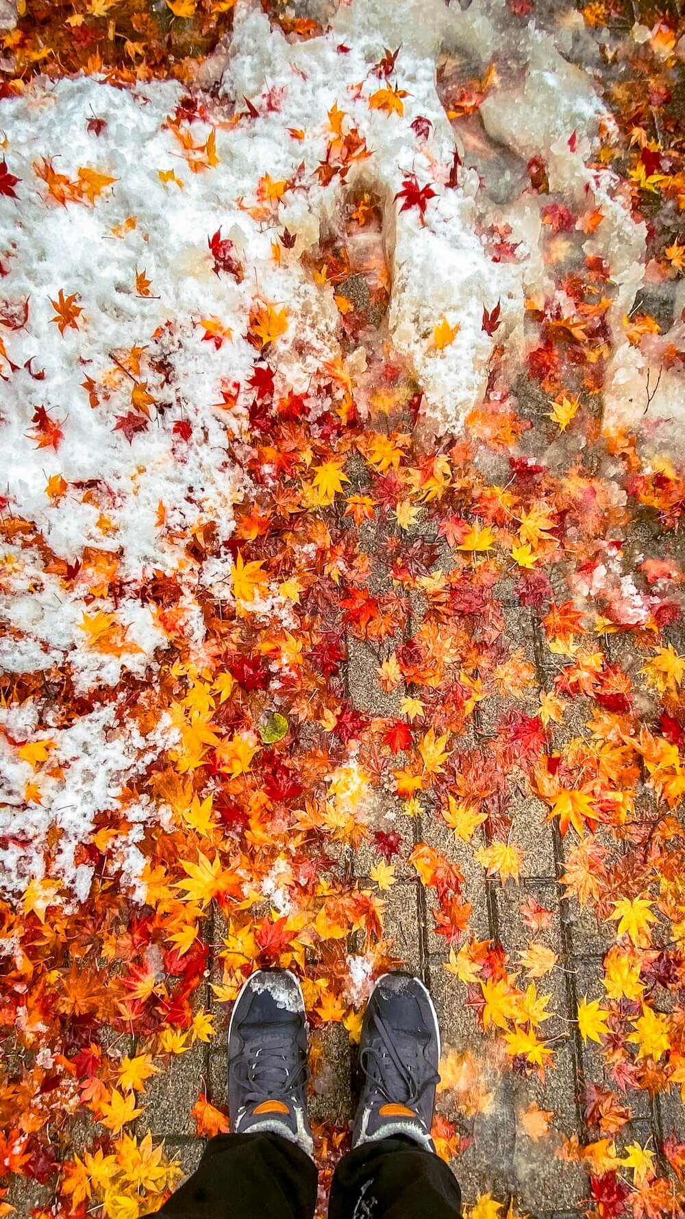 Autumn in Seoul | 17 Spectacular Places to Visit in Seoul during Autumn 8 autumn in seoul
