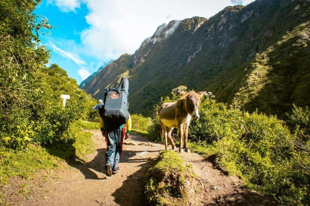 The Inca Trail Hike to Machu Picchu AKA "Dead Woman in the Pass at 4200 Metres" 1 inca trail hike to machu picchu peru