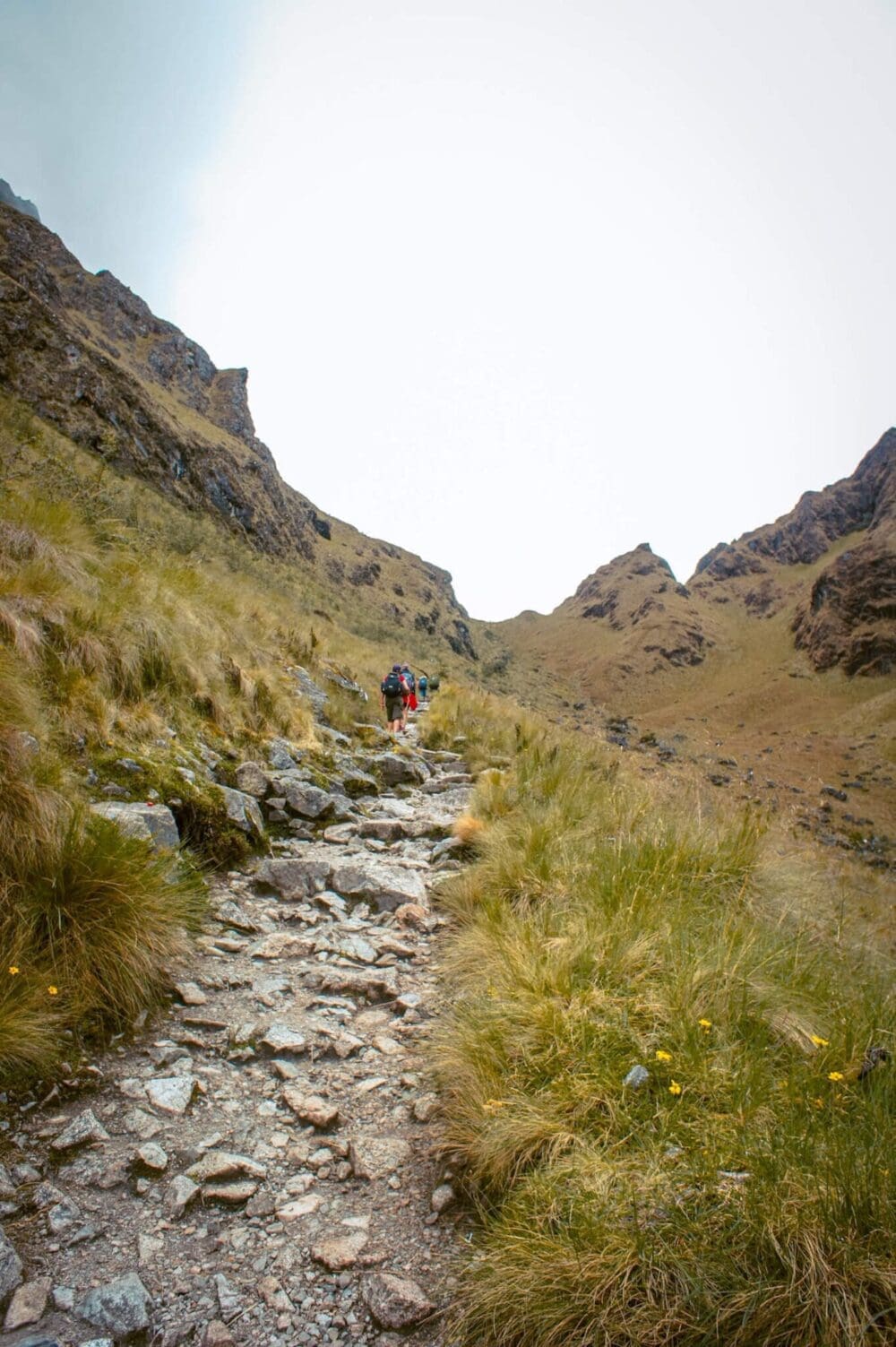 The Inca Trail Hike to Machu Picchu AKA "Dead Woman in the Pass at 4200 Metres" 10 ascent to dead woman's pass on the inca trail hike to machu picchu