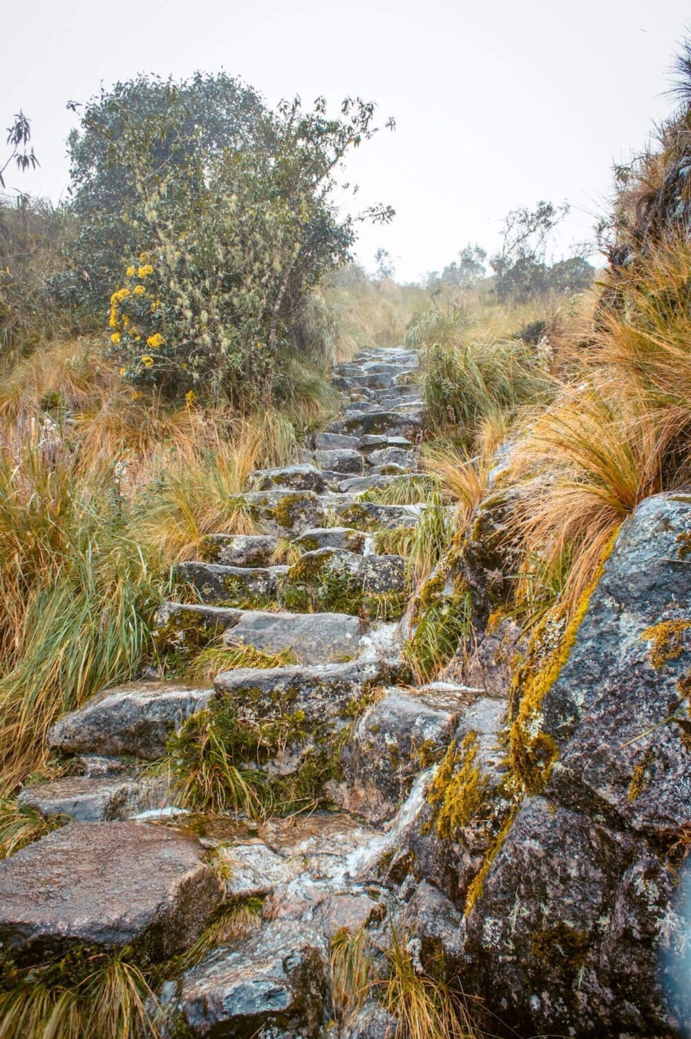 The Inca Trail Hike to Machu Picchu AKA "Dead Woman in the Pass at 4200 Metres" 14 the trail up to Runcurakay Pass on the inca trail