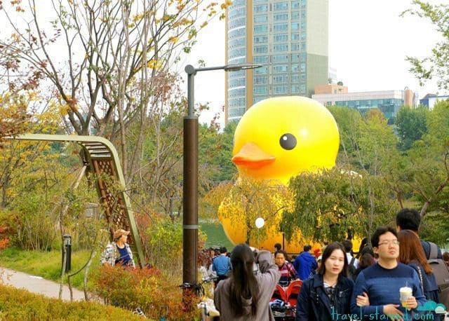 The Rubber Duck Project has Returned to Seoul, along with 1000 Selfie Sticks