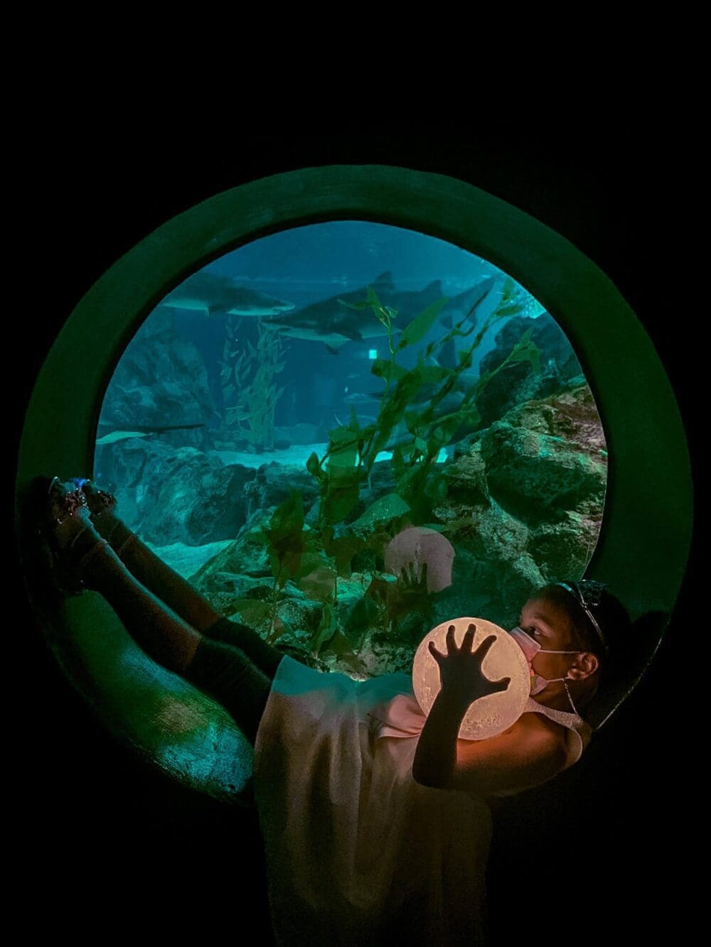 Lotte World Aquarium Review | Under the Sea with 650 Incredible Marine Species 3 girl at lotte world aquarium
