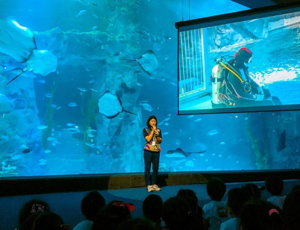 Lotte World Aquarium Review | Under the Sea with 650 Incredible Marine Species 4 educational programs at Lotte World Aquarium