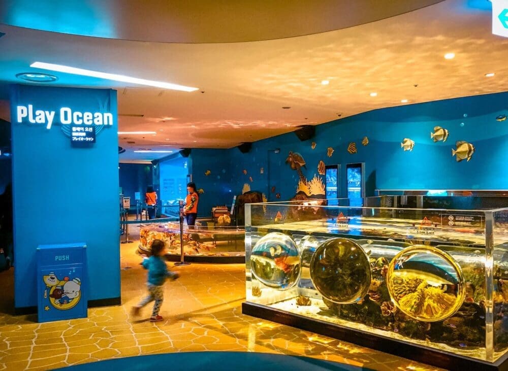 Lotte World Aquarium Review | Under the Sea with 650 Incredible Marine Species 8 play ocean zone at lotte world aquarium