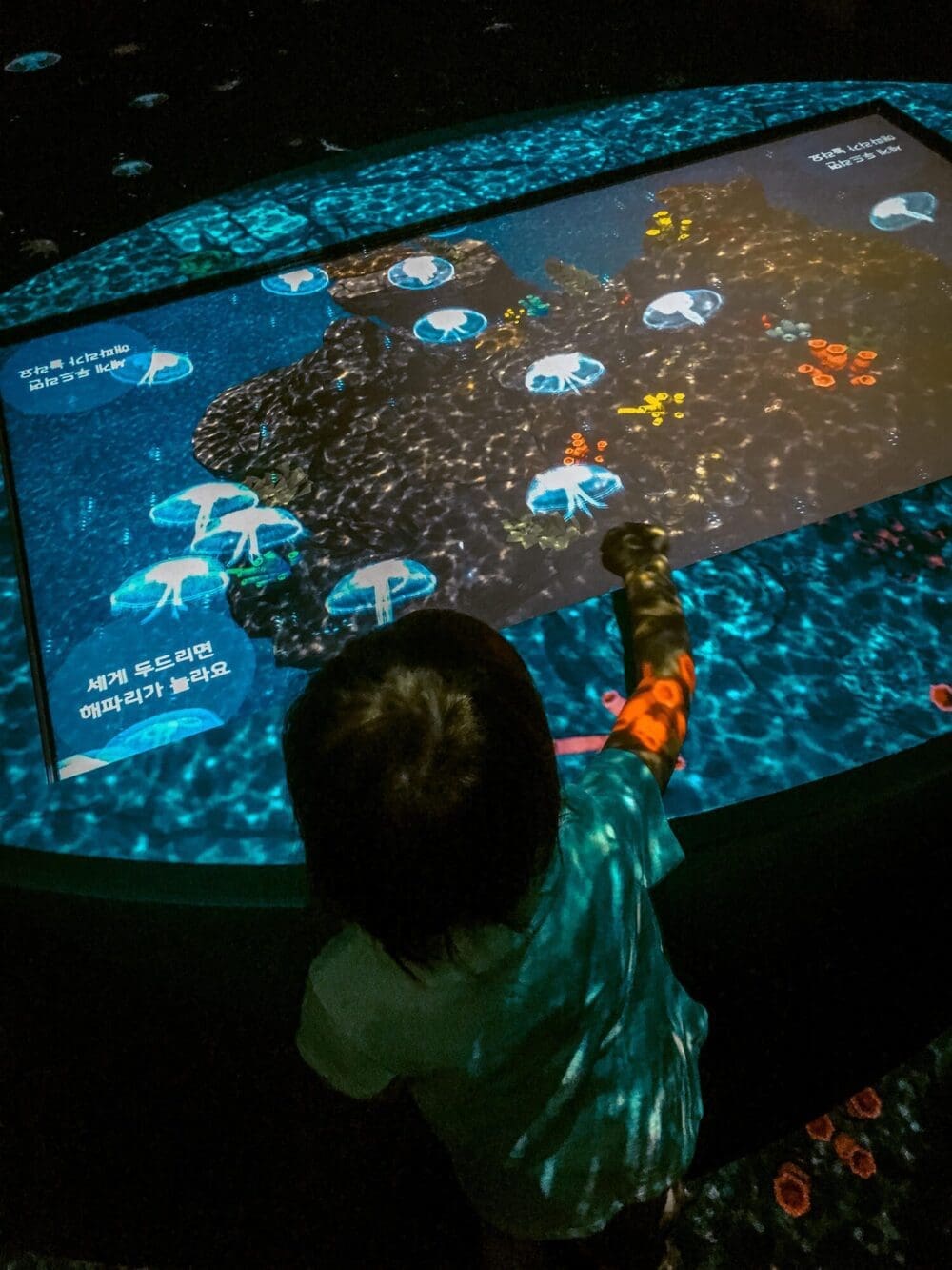 Lotte World Aquarium Review | Under the Sea with 650 Incredible Marine Species 9 jellyfish gallery at lotte world aquarium