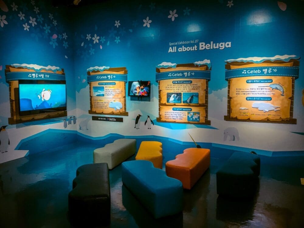 Lotte World Aquarium Review | Under the Sea with 650 Incredible Marine Species 14 beluga ecosystem exhibit at lotte world aquarium
