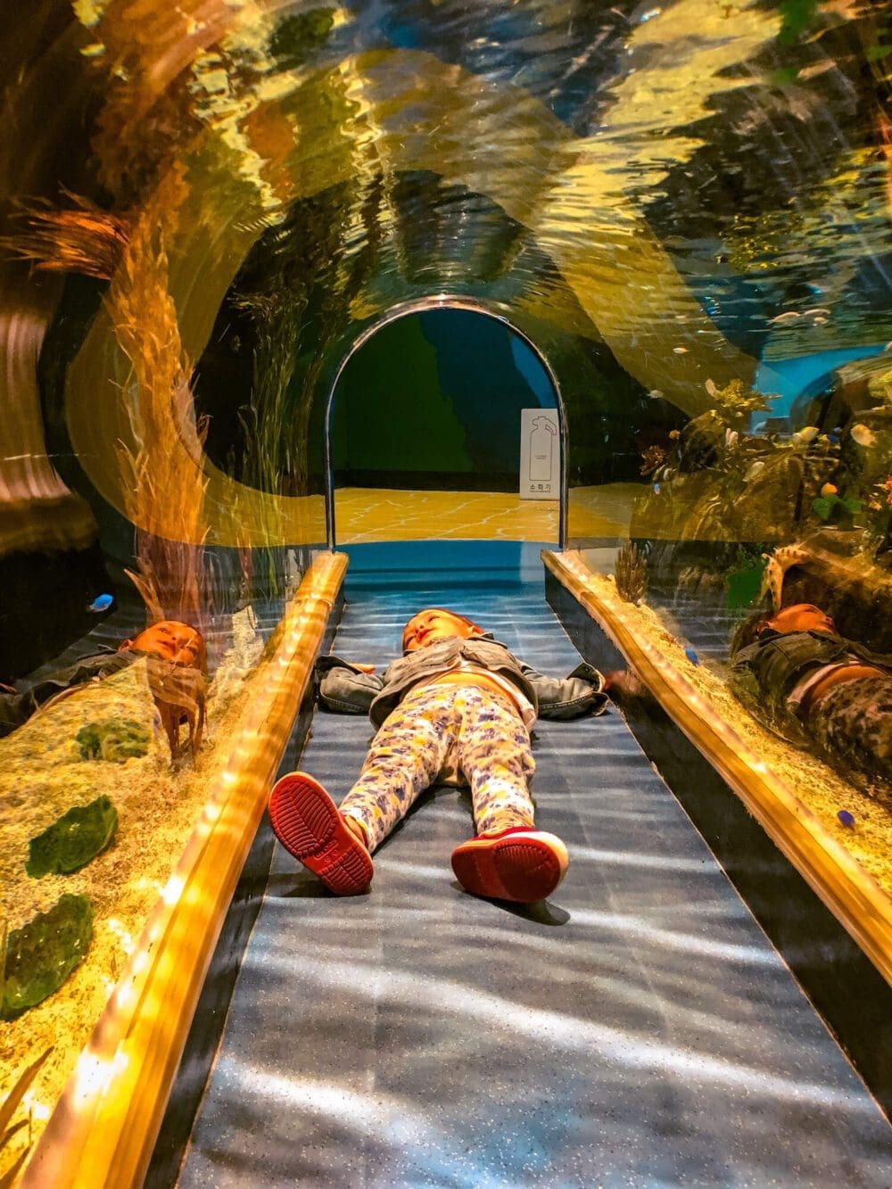 Lotte World Aquarium Review | Under the Sea with 650 Incredible Marine Species 12 play ocean zone at lotte world aquarium