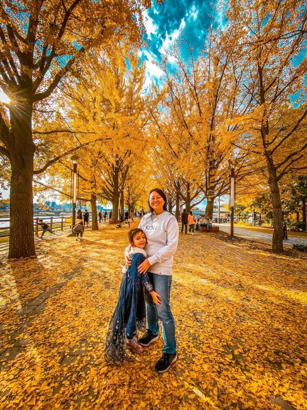 asan ginkgo tree road in autumn | 은행나무길
