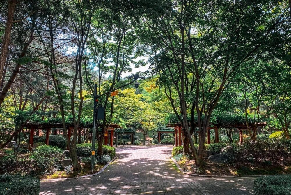 korea in september | hansol park